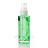 Fleshlight Toys Fleshlight Wash Reinigingsmiddel - 100 Ml